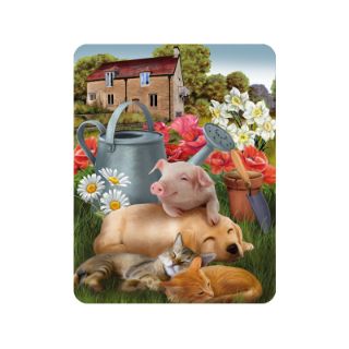 Obrázek z Magnet 3D 7x9cm - domácí zvířátka spící (25) 